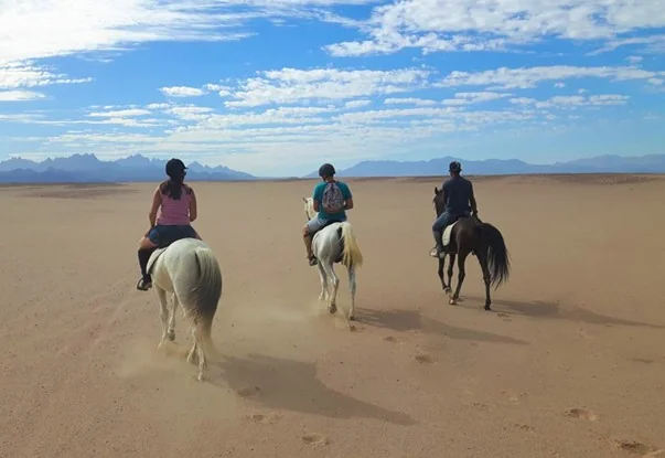 Horse riding  tour -  2 hours ( Private Tour )